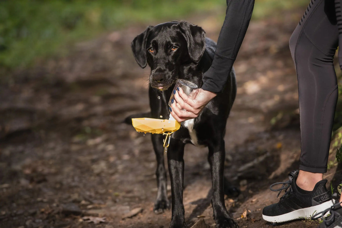 Pet Water Bottle Fair Prices Online