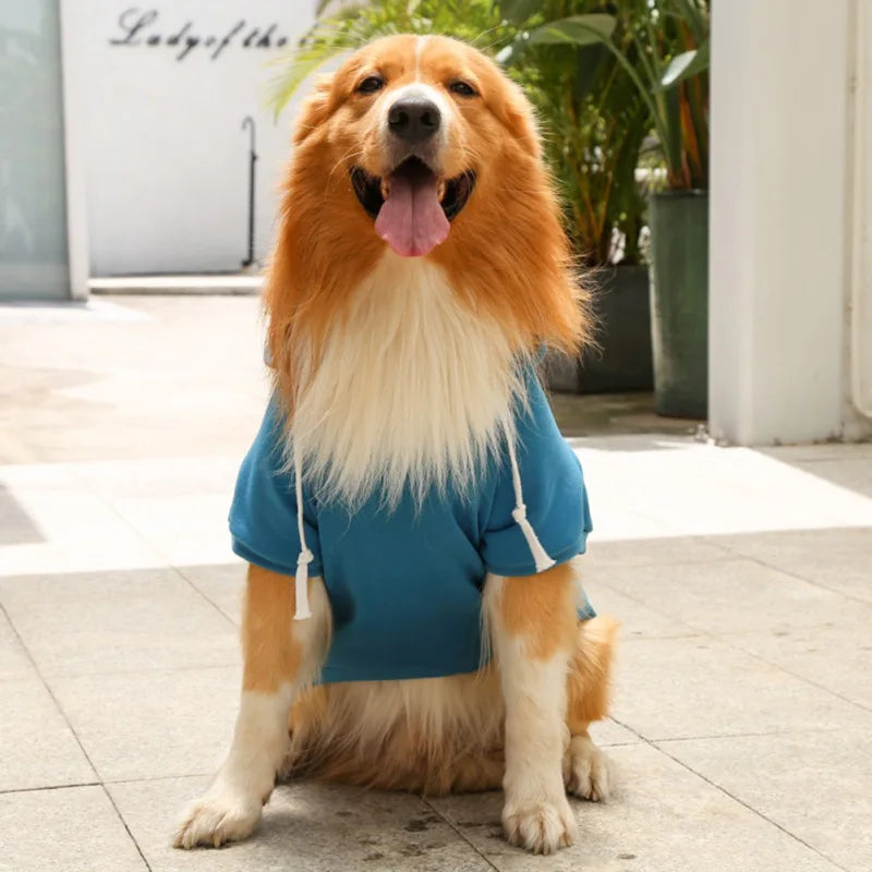 Warm Dog Hoodies for Medium-Large Dogs Fair Prices Online