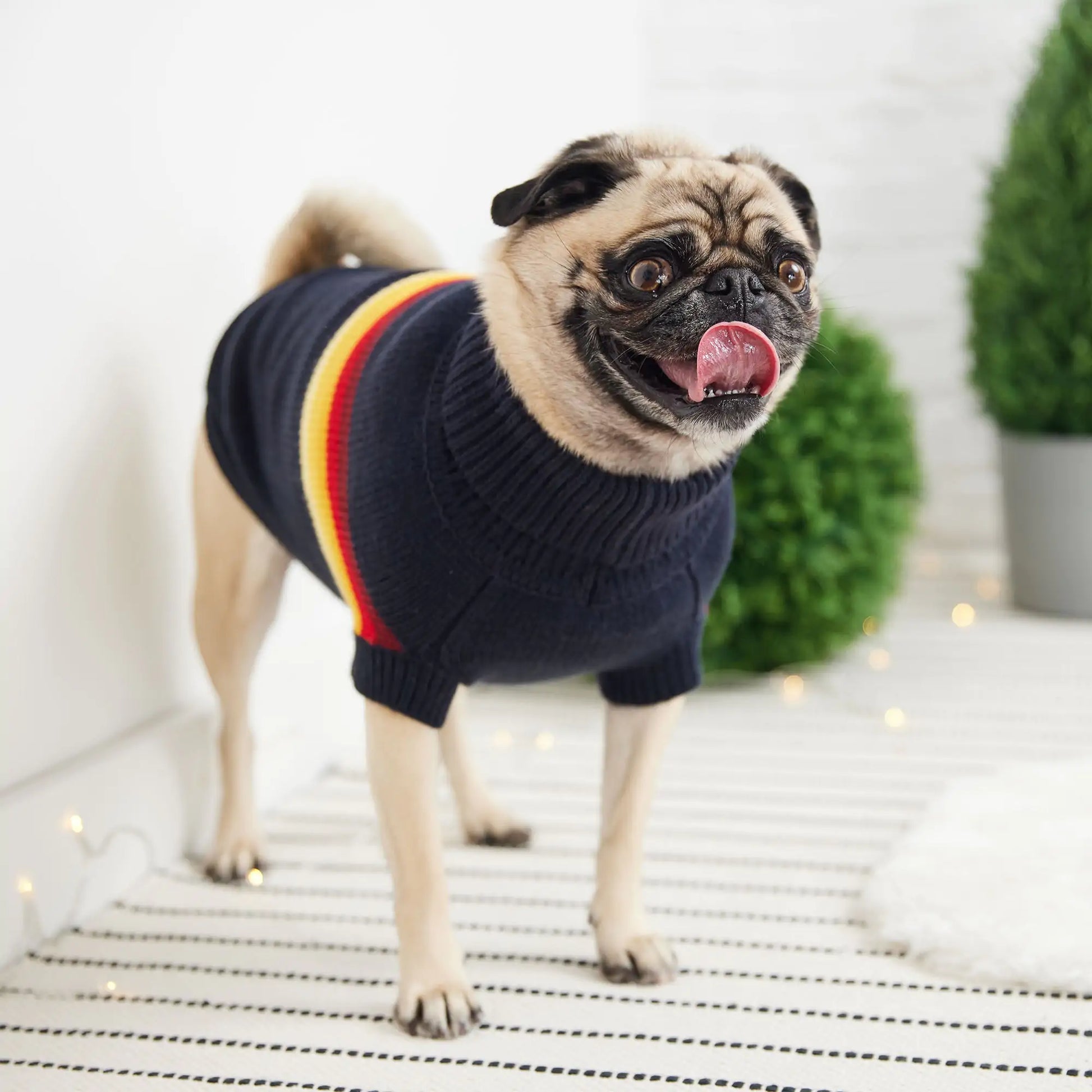 Navy Retro Knit Dog Sweater Fair Prices Online