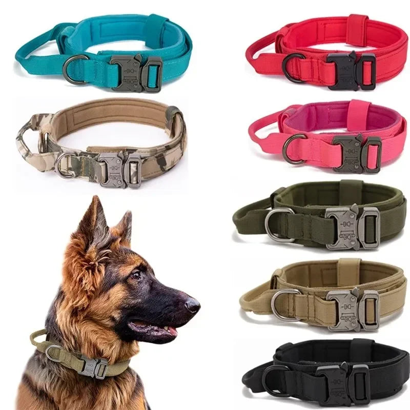 Durable Tactical Dog Collar Leash Fair Prices Online