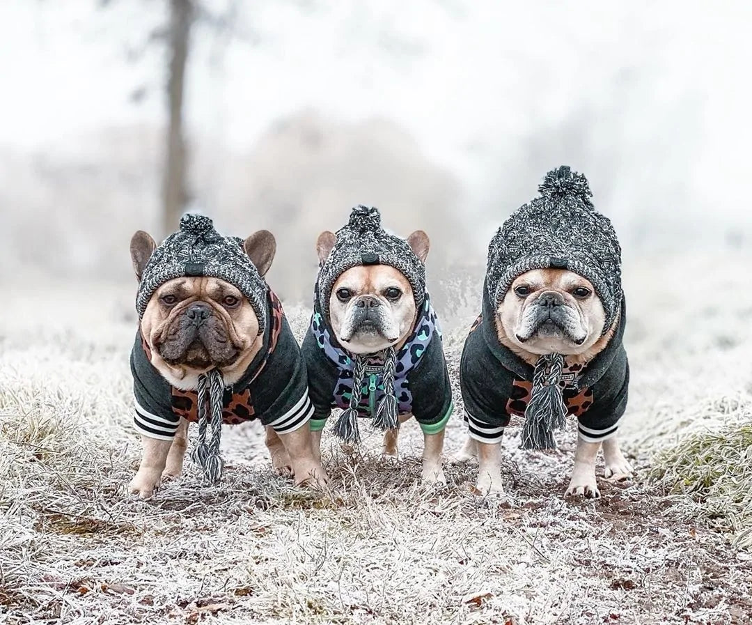 Warm Winter Pet Hat Fair Prices Online