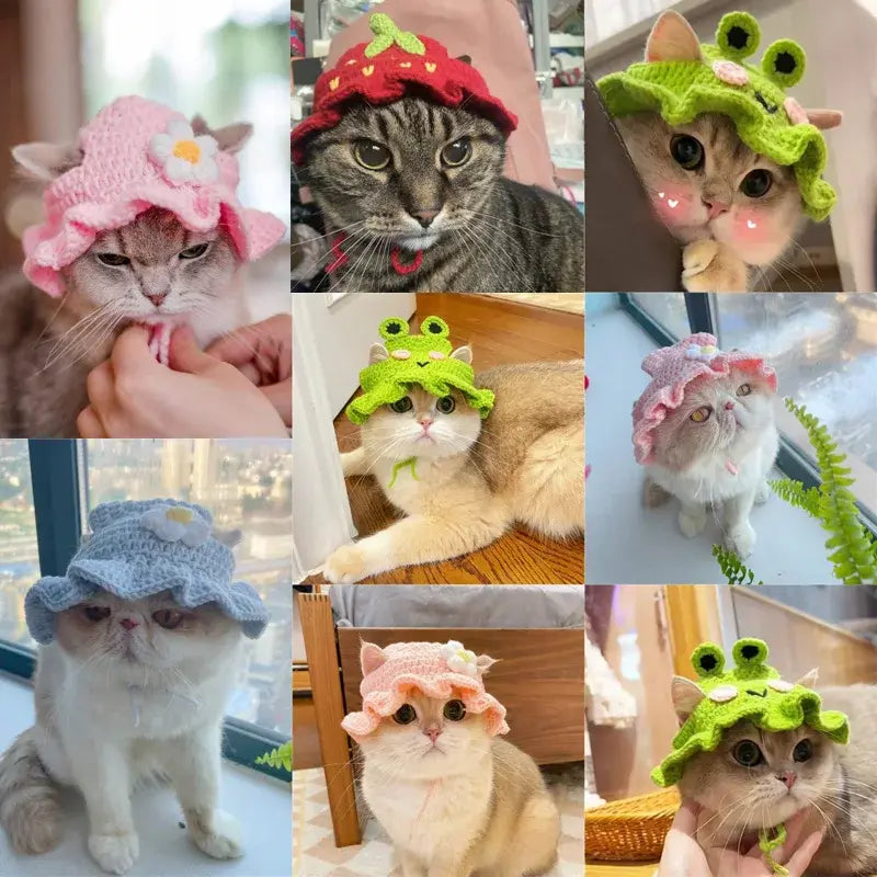 Cute Refined Pet Hat Fair Prices Online