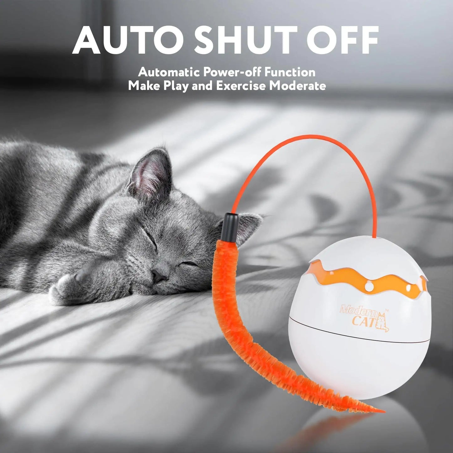 Interactive Cat Toy Dino Egg White Automatic Toy with 360 Degree Rotation Auto Fair Prices Online