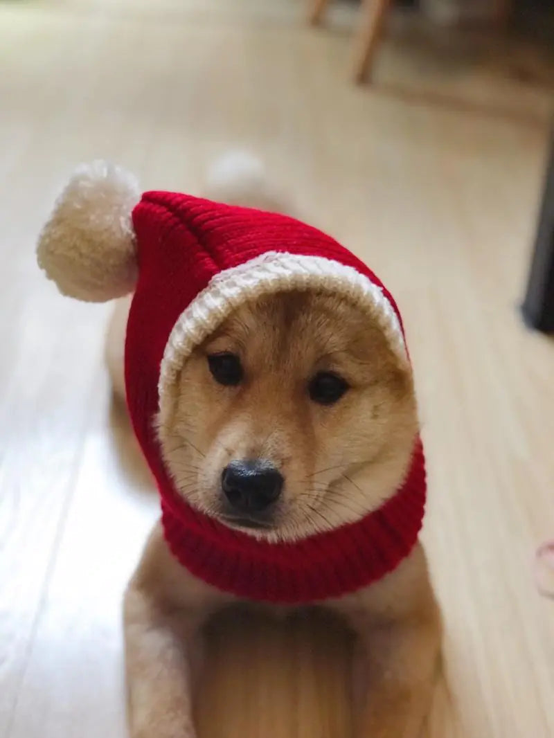 Winter Pet Cap Hat Christmas Warmer Fair Prices Online