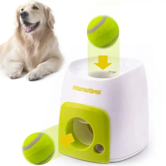 Automatic Interactive Pet Toy Fair Prices Online