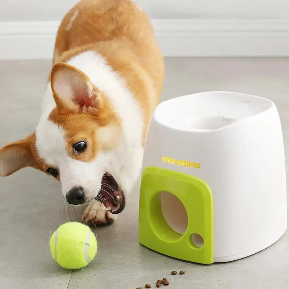 Automatic Interactive Pet Toy Fair Prices Online