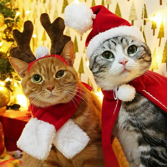 Pet Christmas Clothes Fair Prices Online