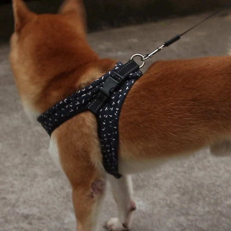 Stylish Secure Harness For Small To Medium Dogs Fair Prices Online