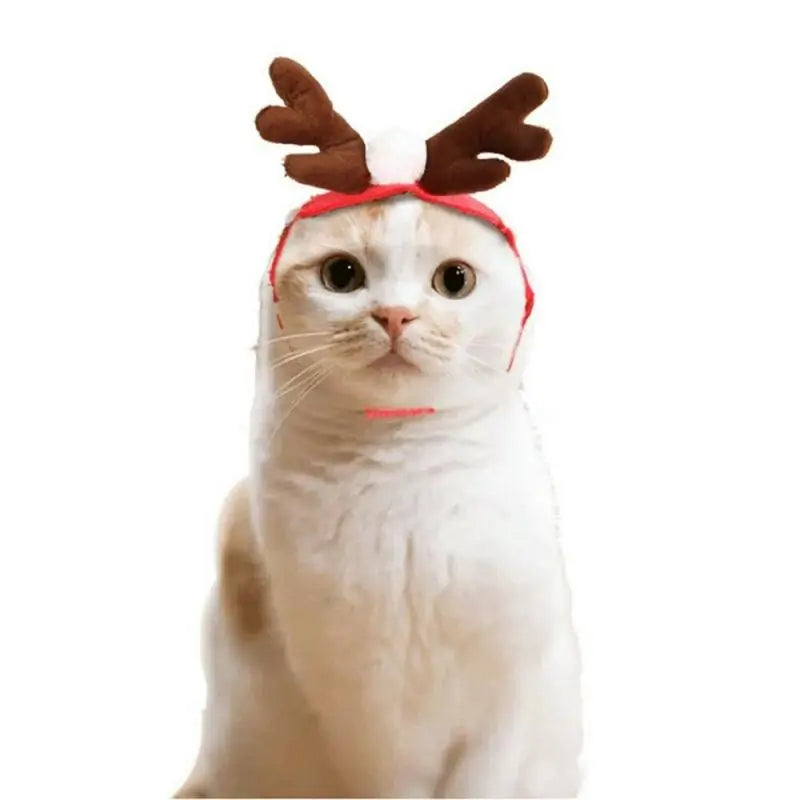 Pet Christmas Clothes Fair Prices Online