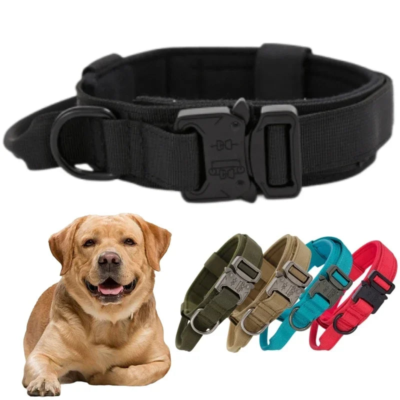 Durable Tactical Dog Collar Leash Fair Prices Online