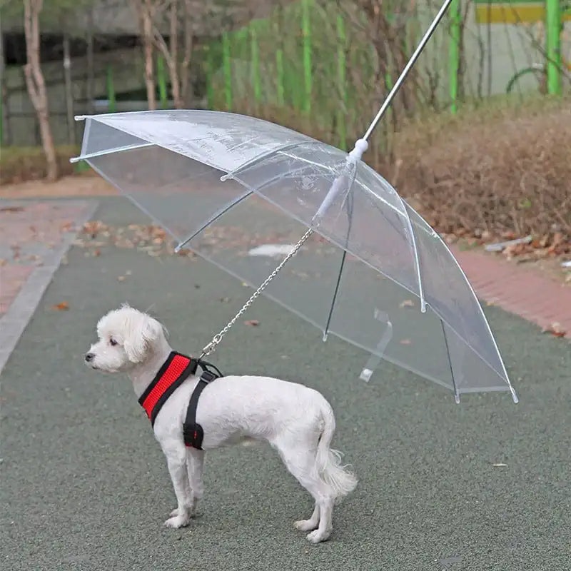 Pet Umbrella Leash Fair Prices Online