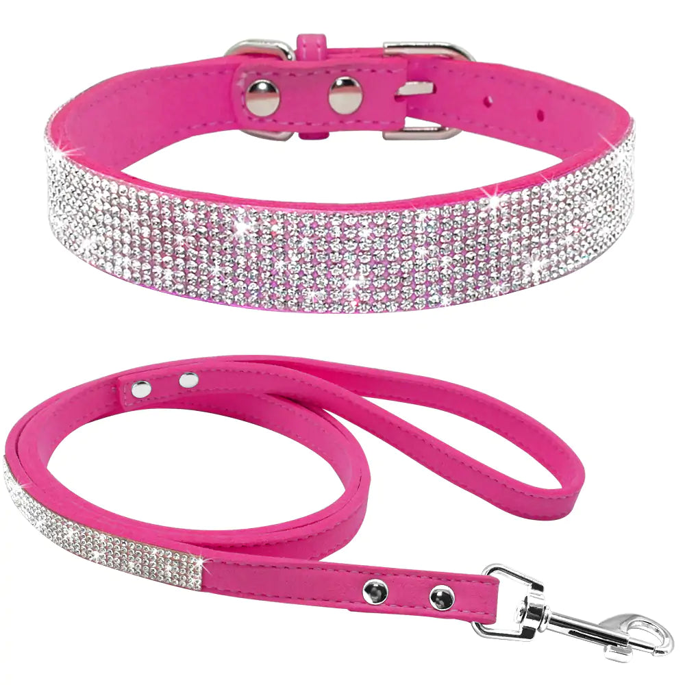 Pet Collar Fair Prices Online