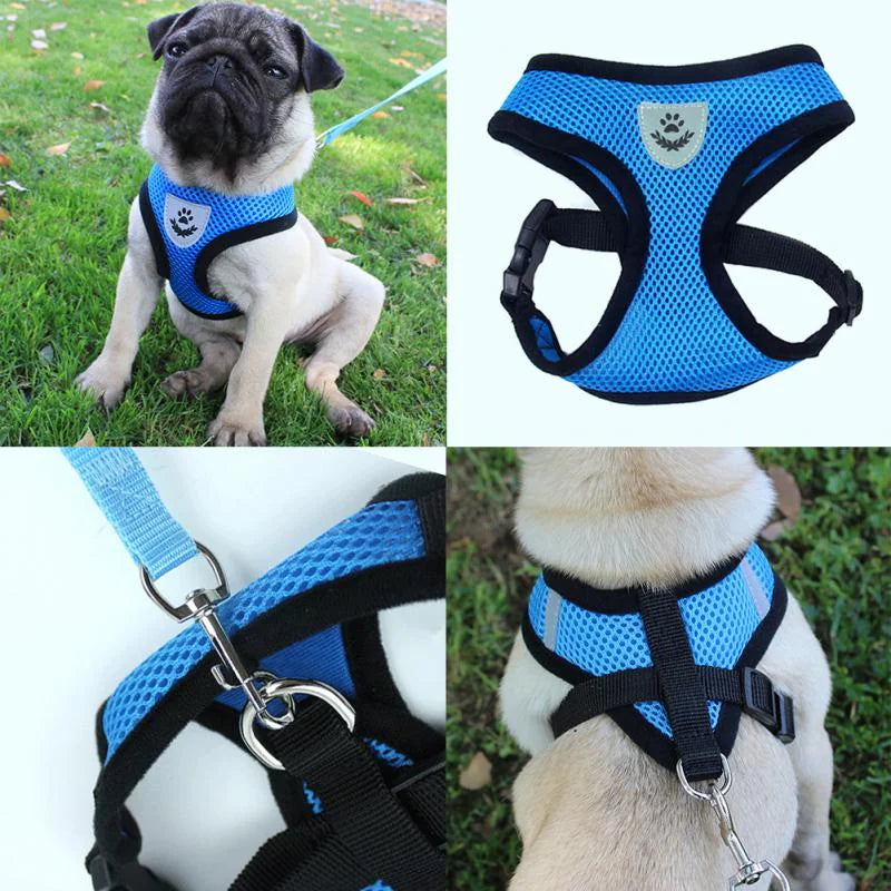 Cat Dog Pet Harness Adjustable Control Vest Dogs Reflective S M L XL Leash Fair Prices Online