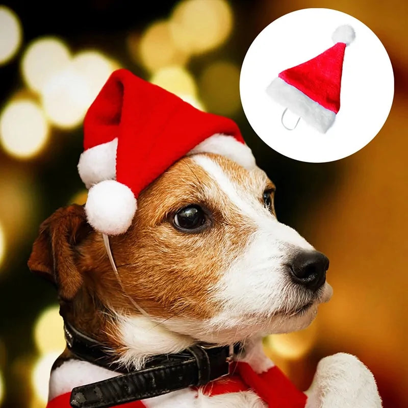 Christmas Pet Santa Hat Fair Prices Online