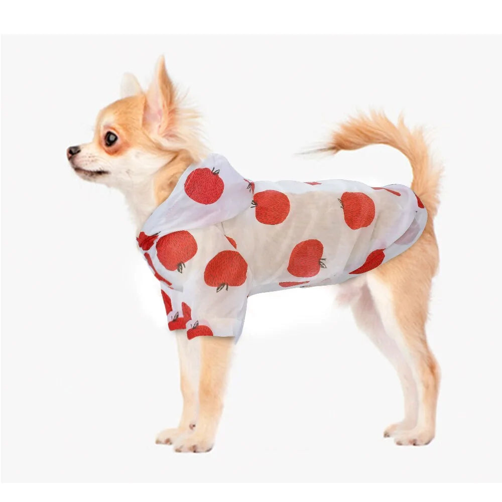 Small Pet Raincoat Fair Prices Online