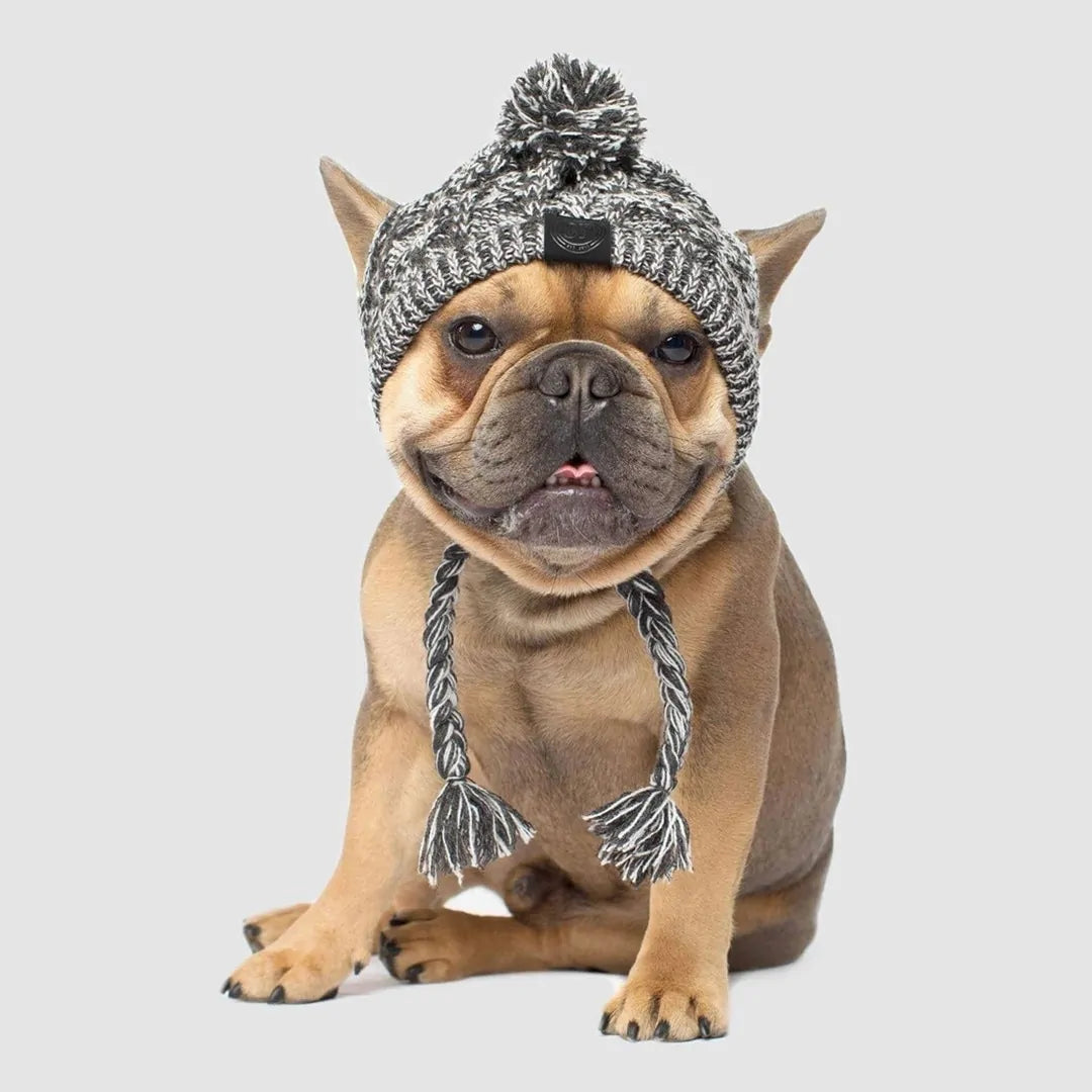 Warm Winter Pet Hat Fair Prices Online