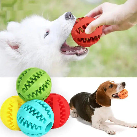 Interactive Rubber Pet Dog Toy Fair Prices Online