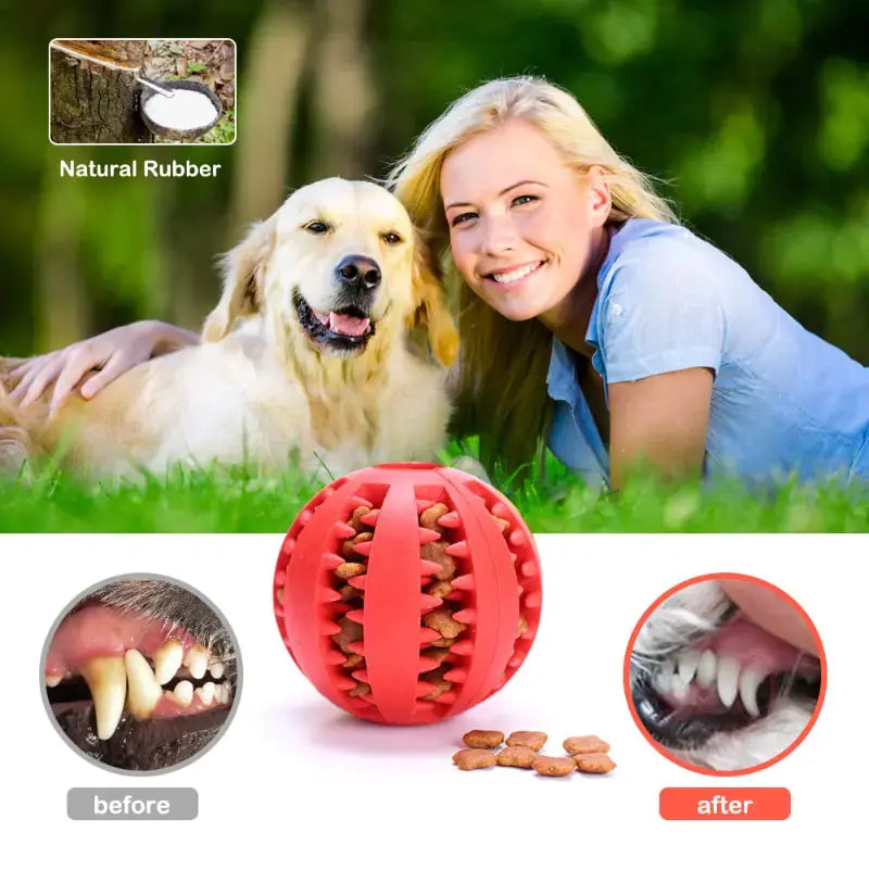 Interactive Rubber Pet Dog Toy Fair Prices Online