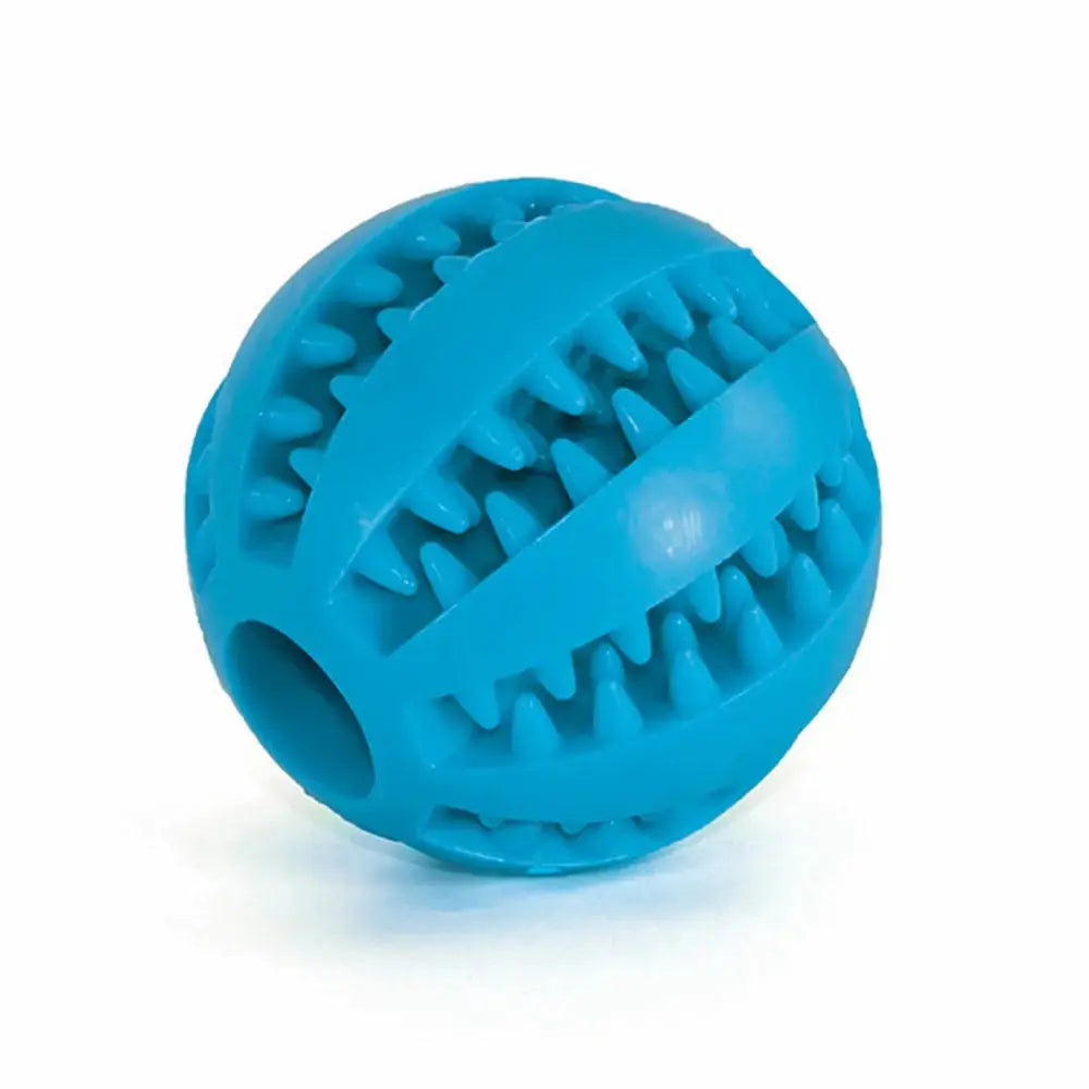 Interactive Rubber Pet Dog Toy Fair Prices Online