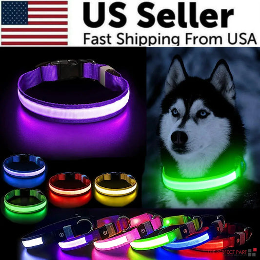 LED Adjustable Dog Collar Blinking Flashing Light Up Glow Pets Safety Waterproof Fair Prices Online