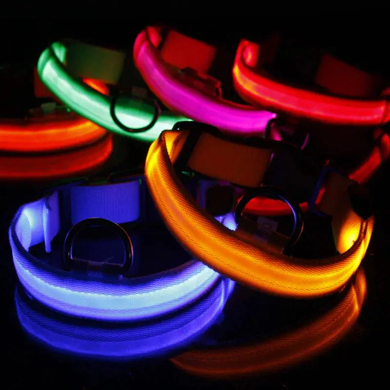 LED Adjustable Dog Collar Blinking Flashing Light Up Glow Pets Safety Waterproof Fair Prices Online