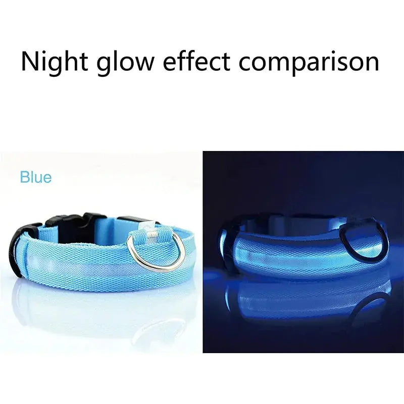 LED Adjustable Dog Collar Blinking Flashing Light Up Glow Pets Safety Waterproof Fair Prices Online