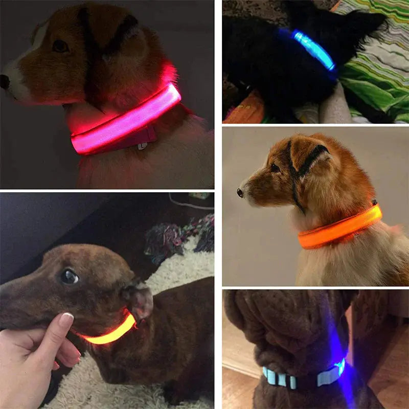 LED Adjustable Dog Collar Blinking Flashing Light Up Glow Pets Safety Waterproof Fair Prices Online