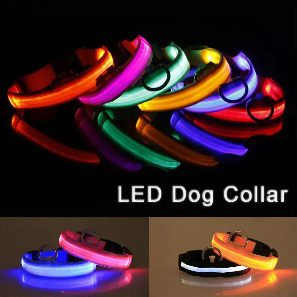 LED Adjustable Dog Collar Blinking Flashing Light Up Glow Pets Safety Waterproof Fair Prices Online