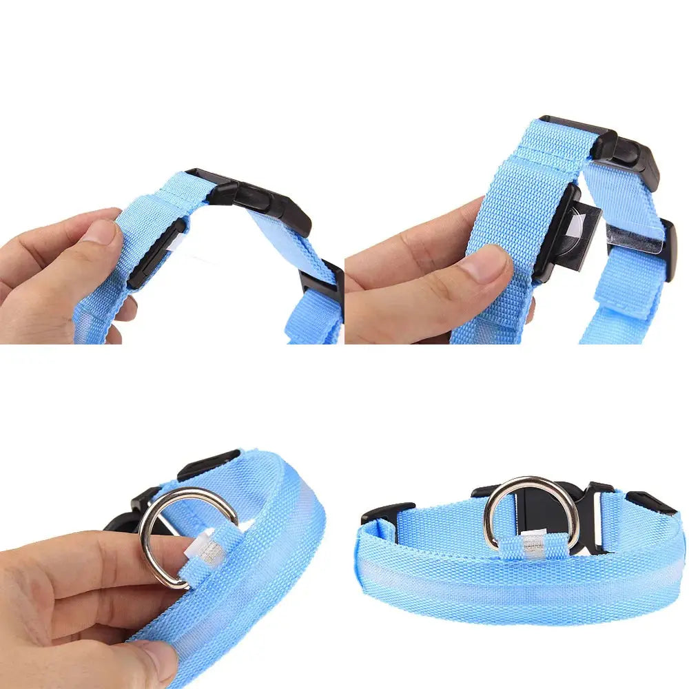 LED Adjustable Dog Collar Blinking Flashing Light Up Glow Pets Safety Waterproof Fair Prices Online