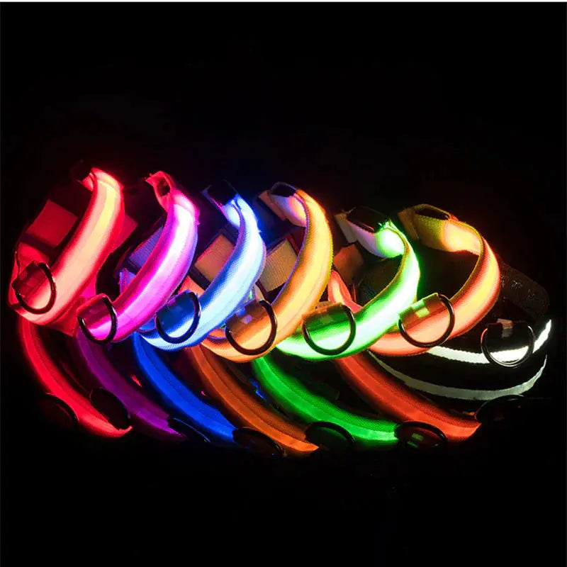 LED Adjustable Dog Collar Blinking Flashing Light Up Glow Pets Safety Waterproof Fair Prices Online