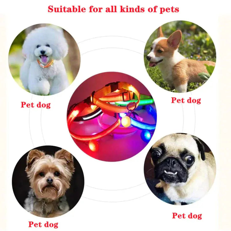 LED Adjustable Dog Collar Blinking Flashing Light Up Glow Pets Safety Waterproof Fair Prices Online