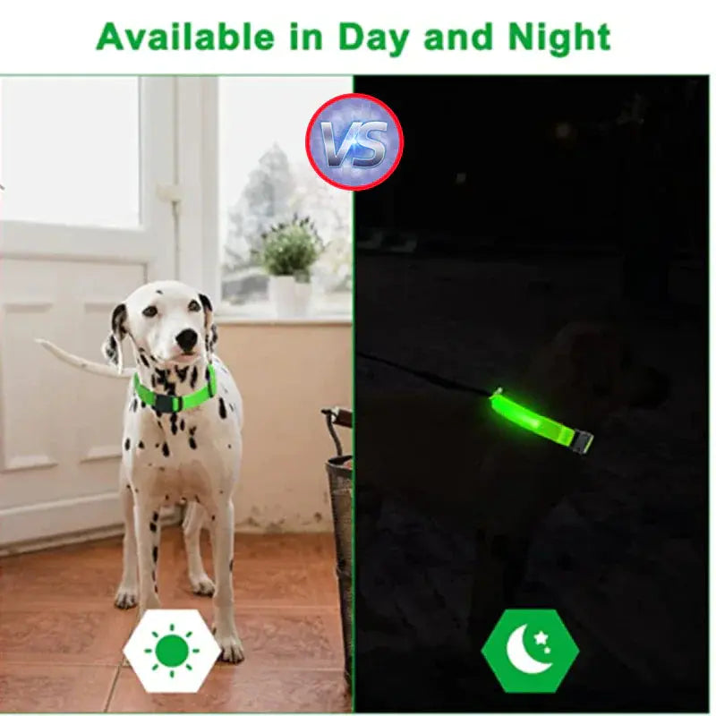 LED Adjustable Dog Collar Blinking Flashing Light Up Glow Pets Safety Waterproof Fair Prices Online