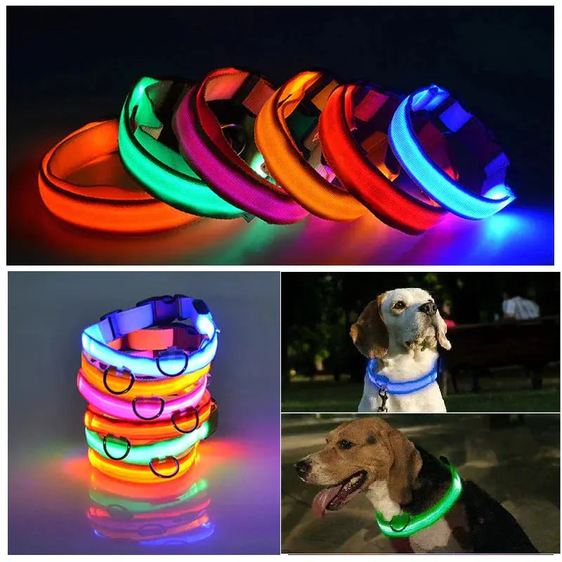 LED Adjustable Dog Collar Blinking Flashing Light Up Glow Pets Safety Waterproof Fair Prices Online