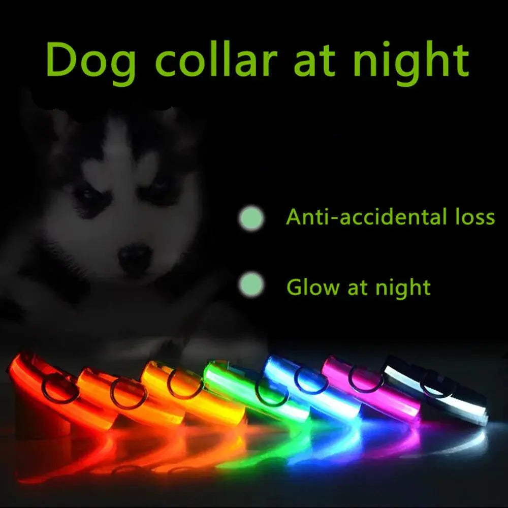 LED Adjustable Dog Collar Blinking Flashing Light Up Glow Pets Safety Waterproof Fair Prices Online