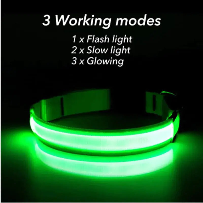 LED Adjustable Dog Collar Blinking Flashing Light Up Glow Pets Safety Waterproof Fair Prices Online