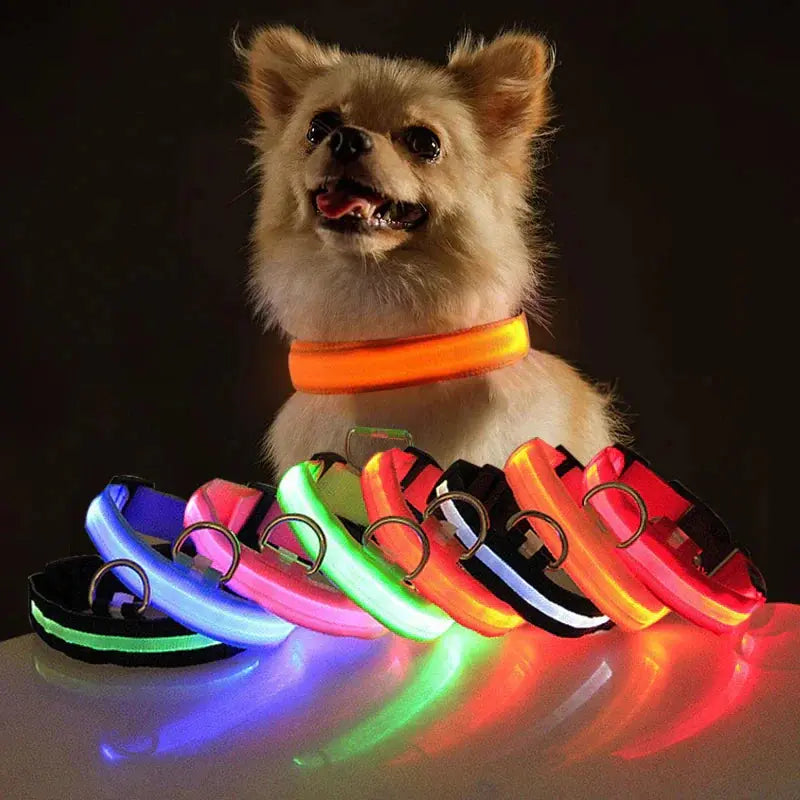 LED Adjustable Dog Collar Blinking Flashing Light Up Glow Pets Safety Waterproof Fair Prices Online