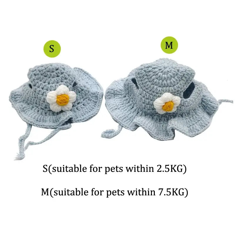 Cute Refined Pet Hat Fair Prices Online