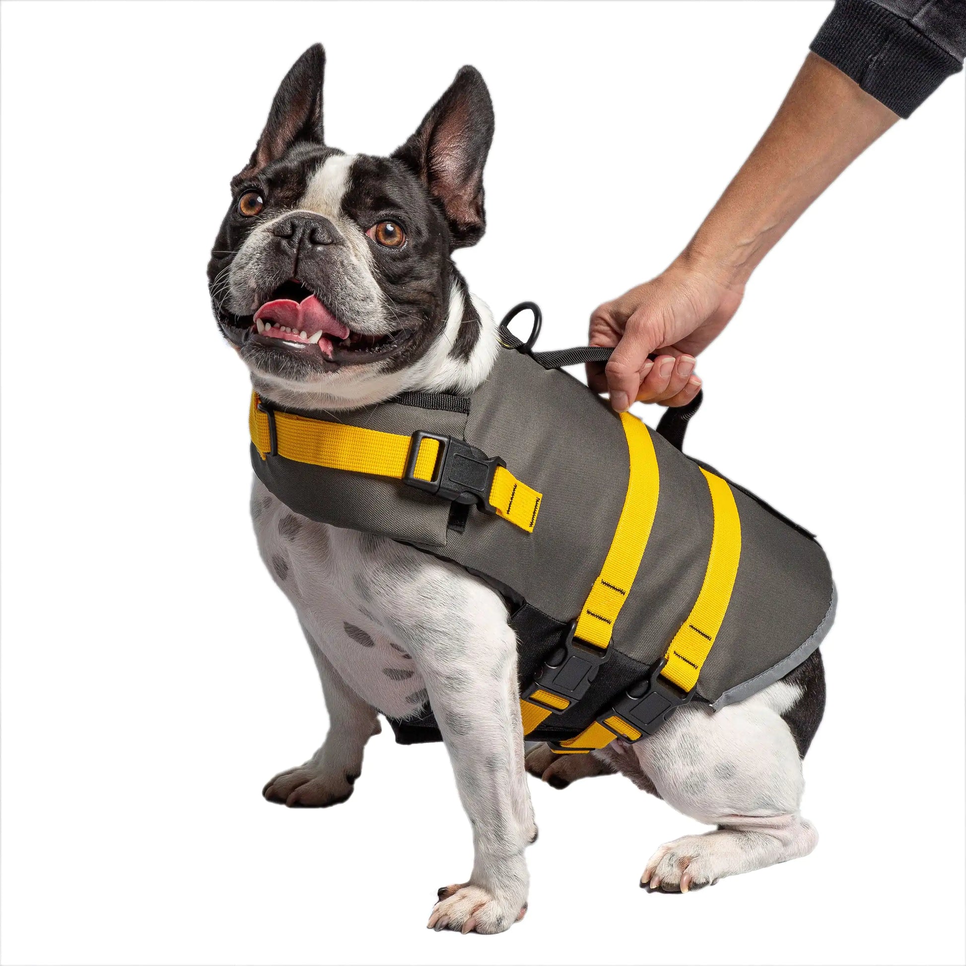 Army Dog Vest Fair Prices Online