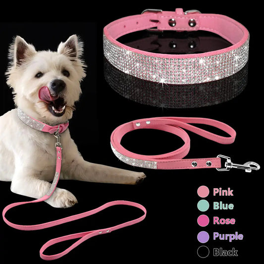 Pet Collar Fair Prices Online