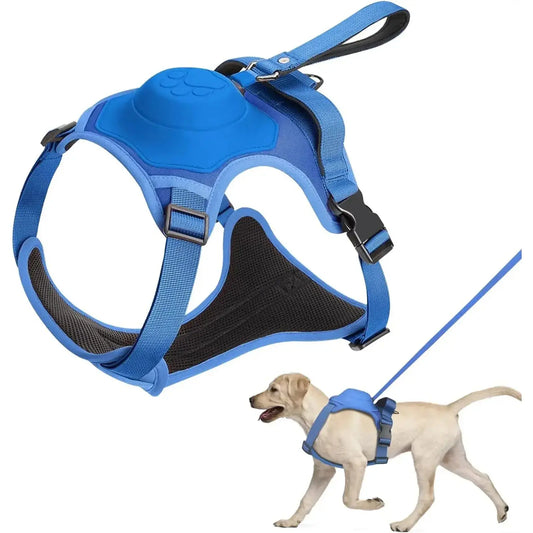 Flexible Retractable Leash for Medium-Large Dogs Fair Prices Online