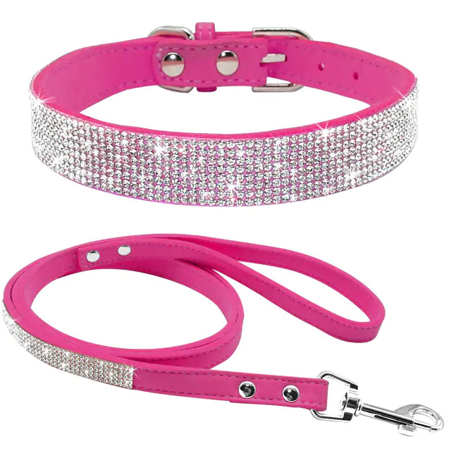 Pet Collar Fair Prices Online