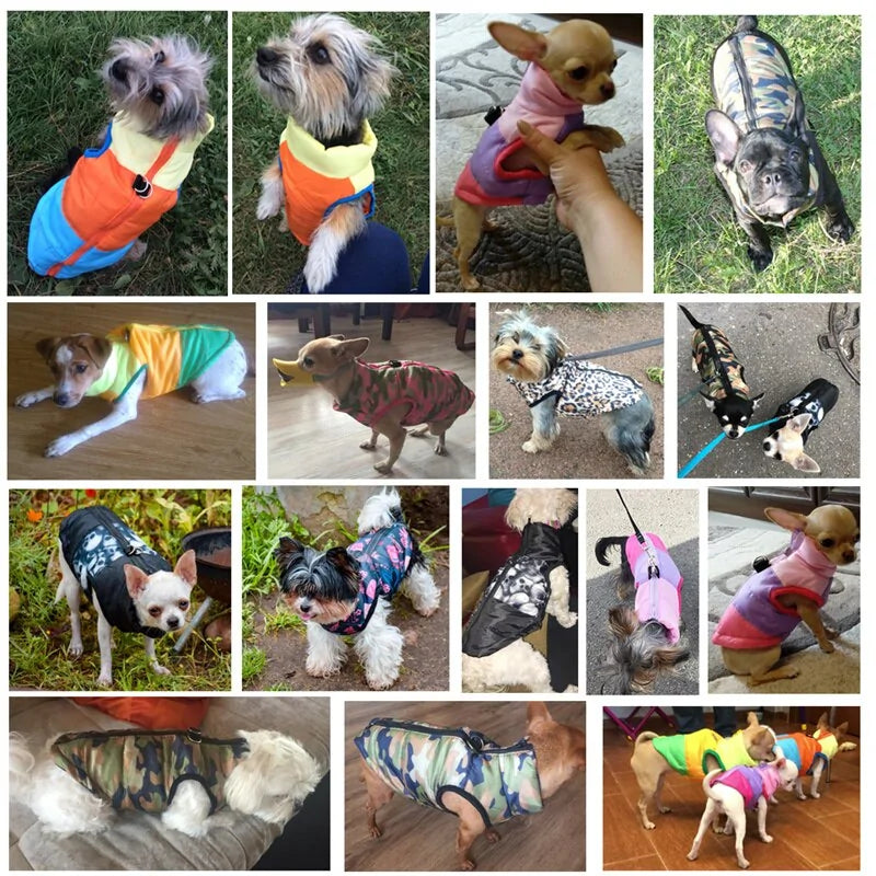 Warm Pet Clothing For Dogs Fair Prices Online