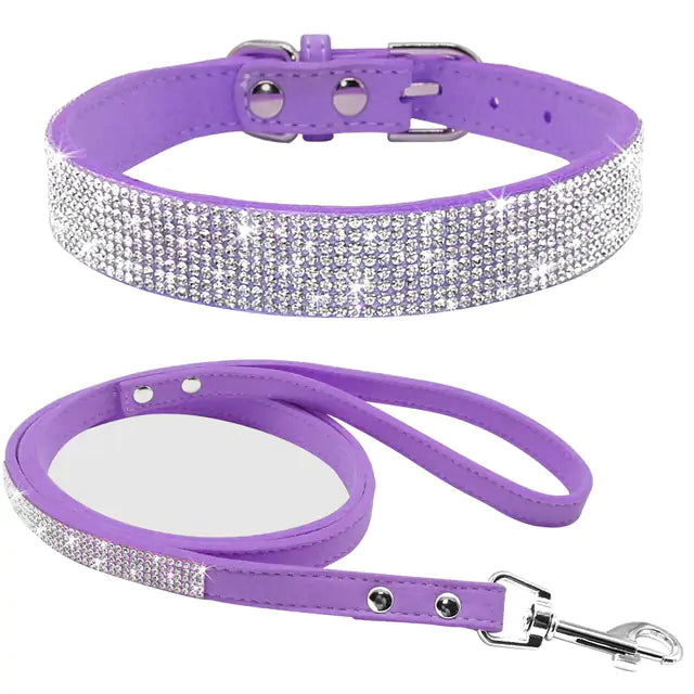 Pet Collar Fair Prices Online