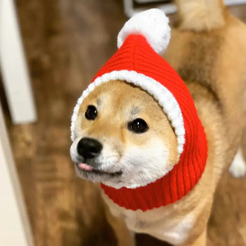 Winter Pet Cap Hat Christmas Warmer Fair Prices Online