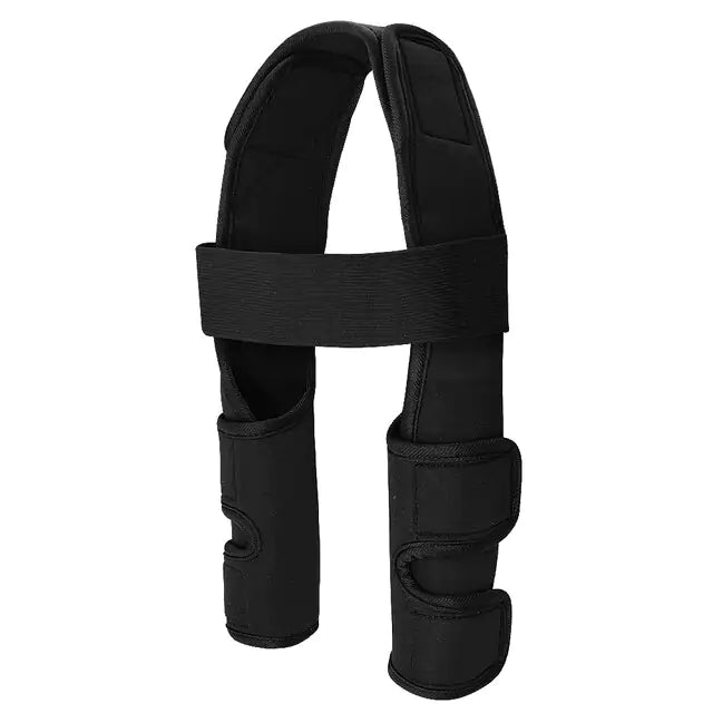 Pet Leg Support Fair Prices Online