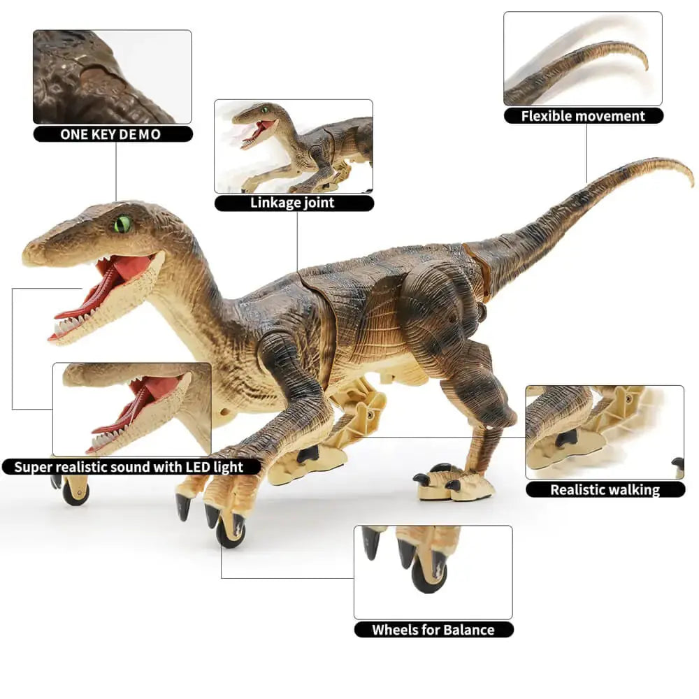 RC Electric Walking Jurassic Dinosaur Simulation Velociraptor Fair Prices Online