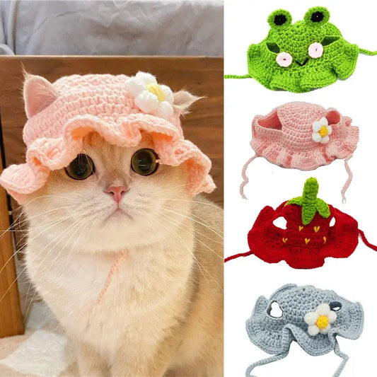 Cute Refined Pet Hat Fair Prices Online