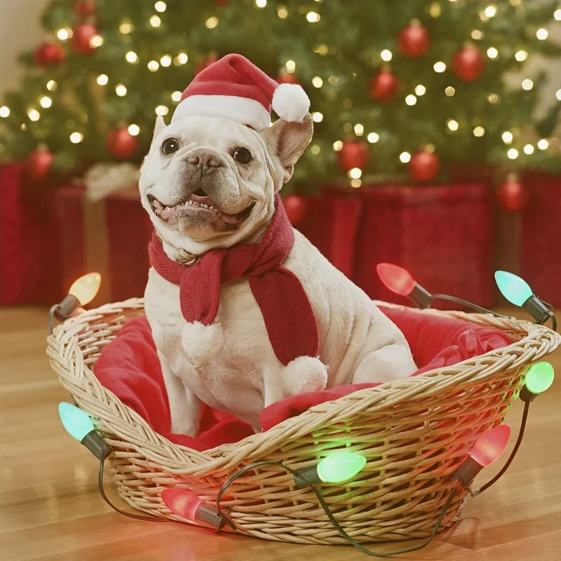 Christmas Pet Santa Hat Fair Prices Online