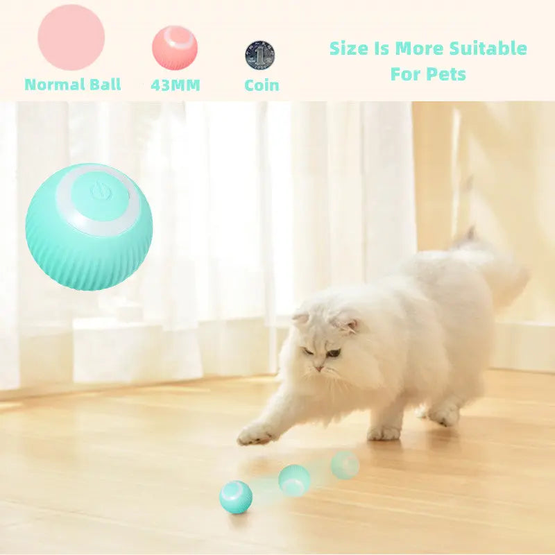 Smart Cat Ball Toys - Fair Prices Online