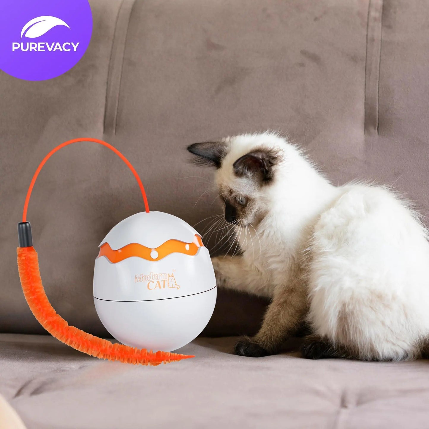 Interactive Cat Toy Dino Egg White Automatic Toy with 360 Degree Rotation Auto Fair Prices Online